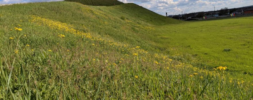 Mound of Slavy