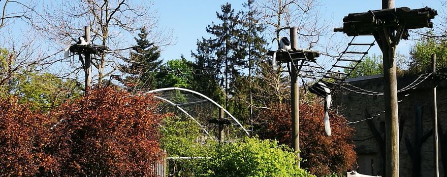 Oppelner Zoo