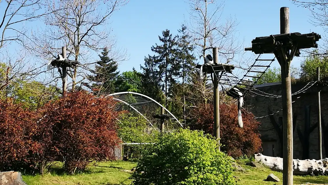 Hotels near Opole Zoo