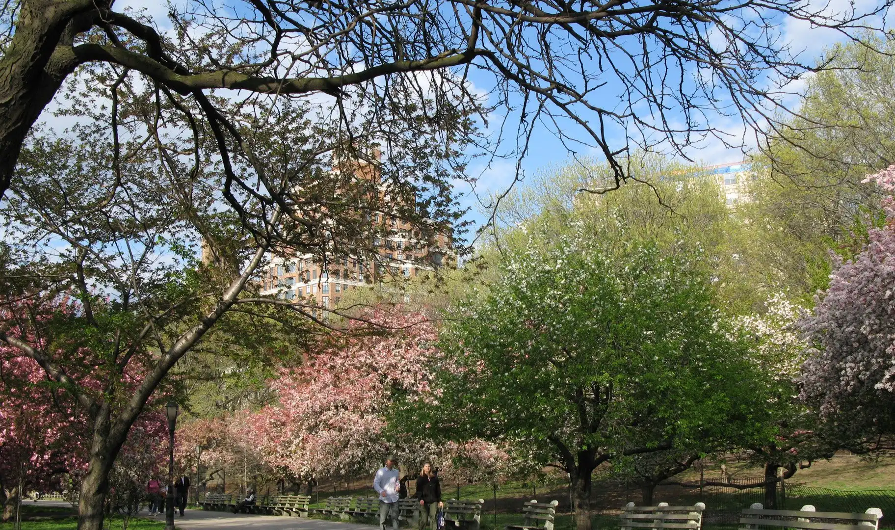 Hoteles cerca de Riverside Park
