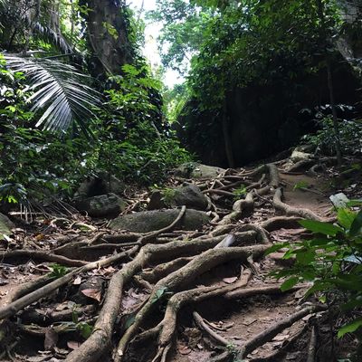 Gunung Datuk Recreational Forest
