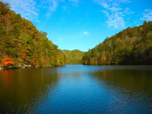 Natural Bridge State Resort Park