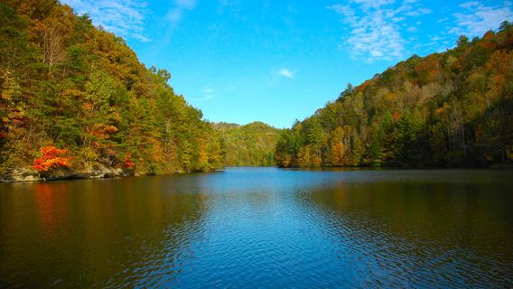 Natural Bridge State Resort Park