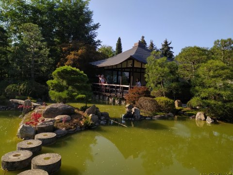 Japanese Bonsai Garden (Japanischer Bonsaigarten) Tickets [2026] - Promos,  Prices, Reviews & Opening Hours | Trip.com