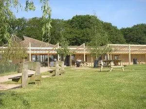Worcester Woods Country Park