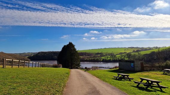 Cornish Seal Sanctuary