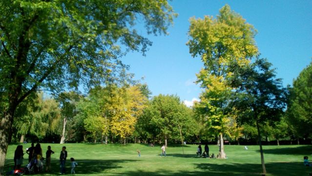 Promenade de la Torse