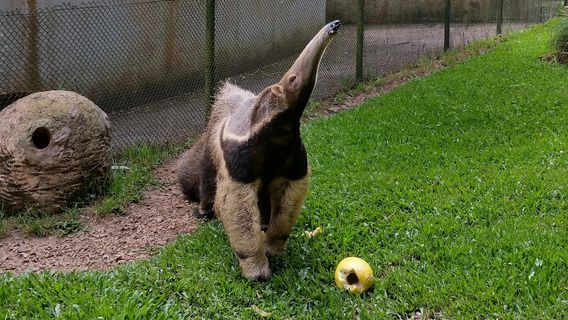 Zoologico Municipal de Curitiba