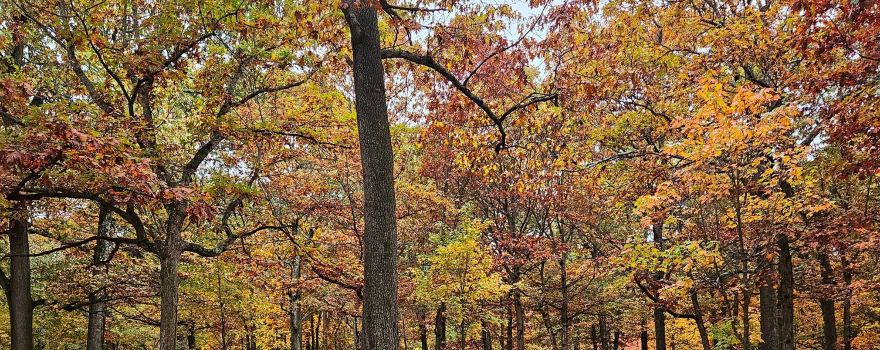 Hempstead Lake State Park