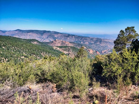 Gila National Forest