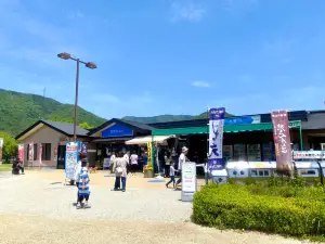 Yoshinogawa Service Area (Westbound)
