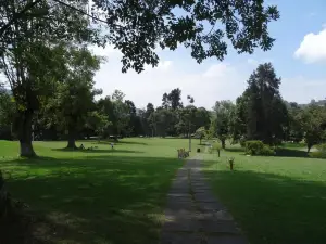 Bosque Popular El Prado