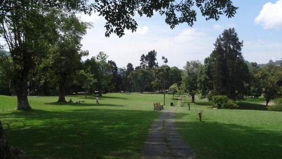 Bosque Popular El Prado