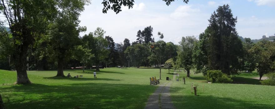 Bosque Popular El Prado