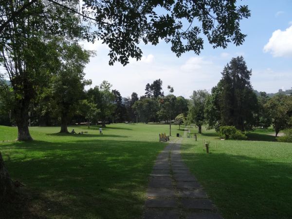 Bosque Popular El Prado