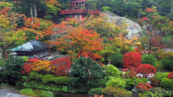 那谷寺（公式）