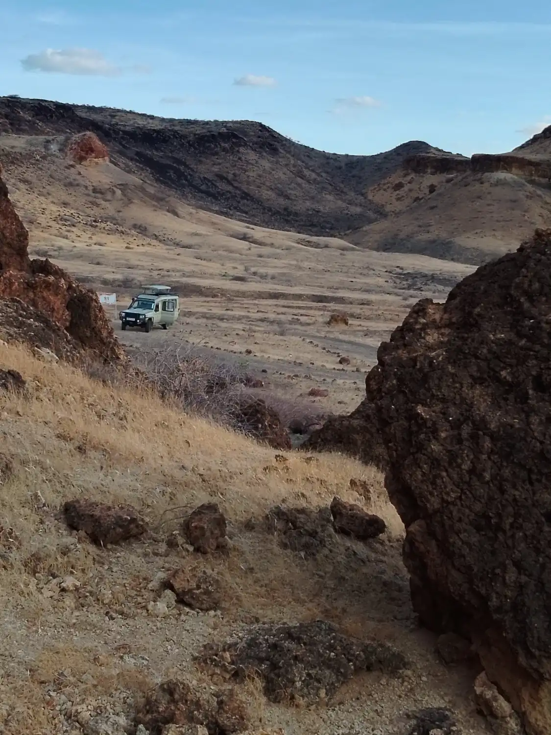 Hotels near Desert Museum