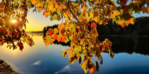 Booker T. Washington State Park