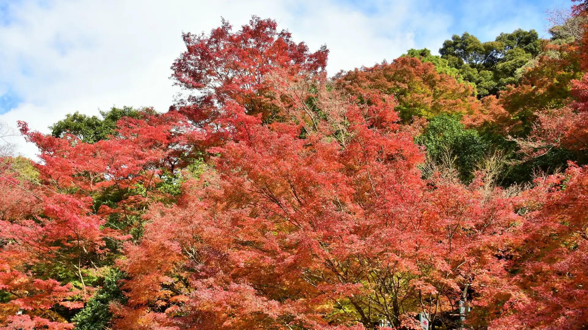 鄰近寂光院的酒店
