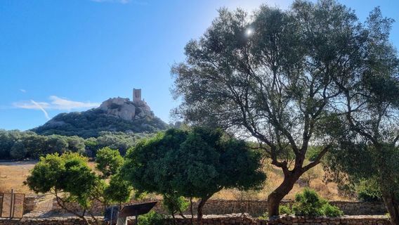 Giants' grave of Su Mont'e s'Abe