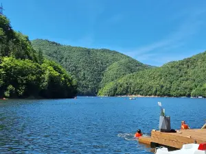 Tarnita Lake
