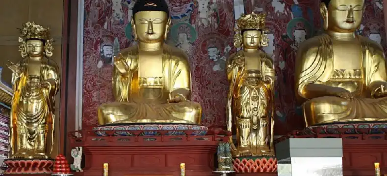구례
