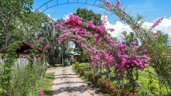 Belize Spicefarm and Botanical Gardens