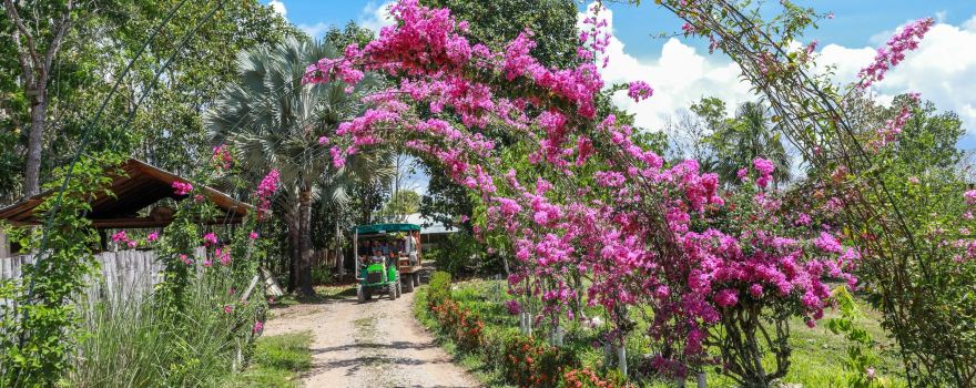 Belize Spicefarm and Botanical Gardens