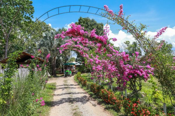 Belize Spicefarm and Botanical Gardens