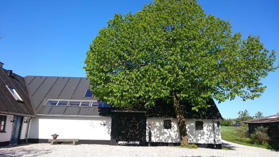 Galleri Salshus