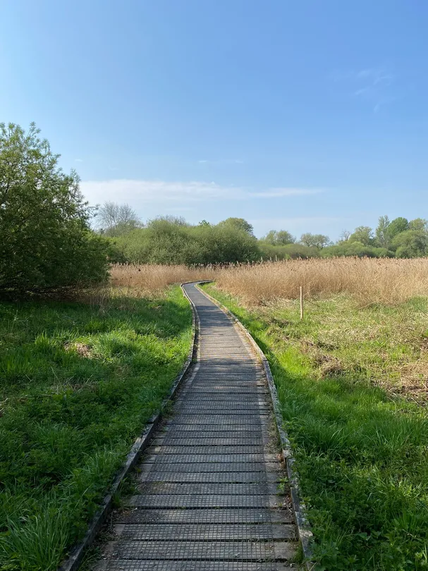 4_Winnall Moors公園