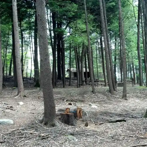 Fort Dummer State Park