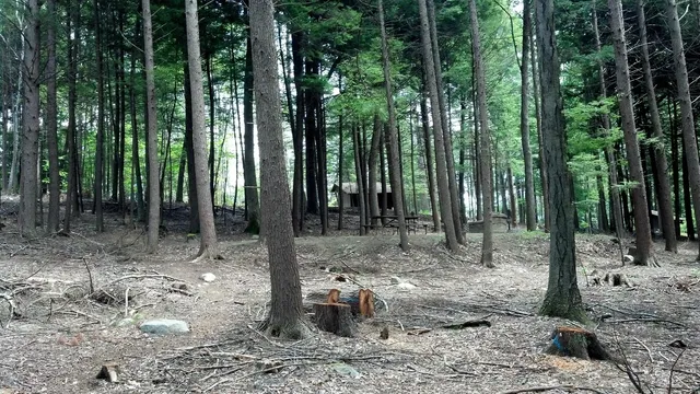 Fort Dummer State Park
