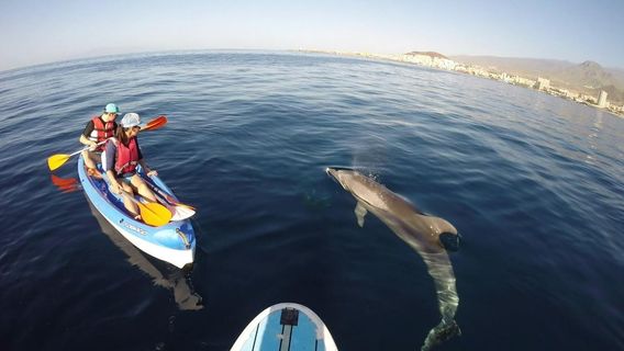 Kayak Academy Tenerife