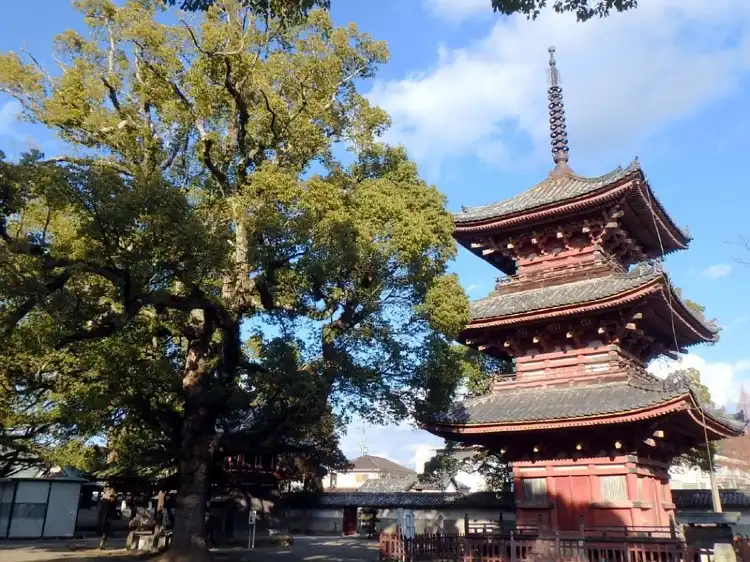 Hotels in Taishi