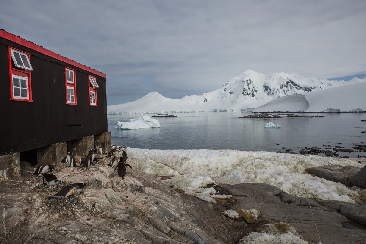 3_Penguin Post Office