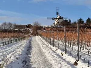 Windmuhle Retz