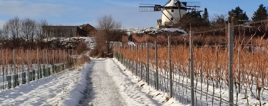 Windmuhle Retz