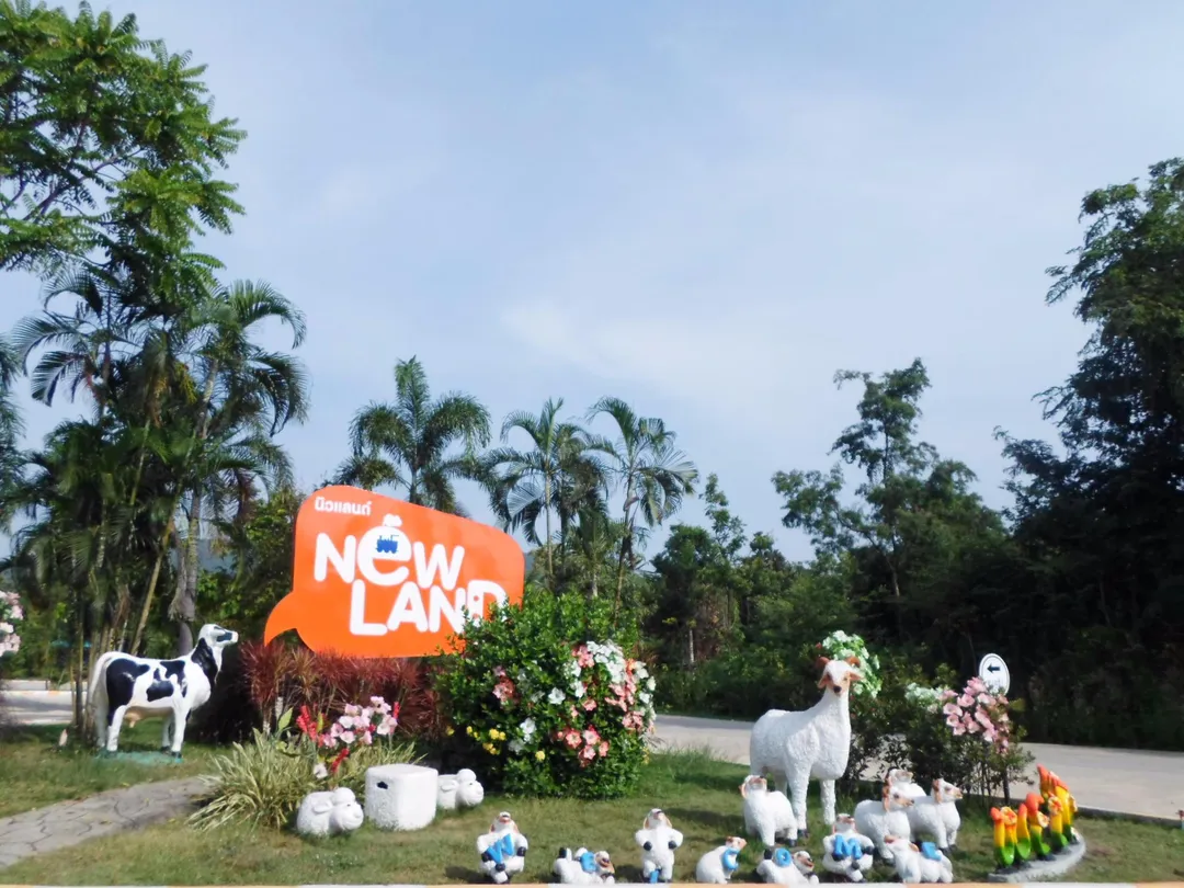 1_New Land Saun Phueng