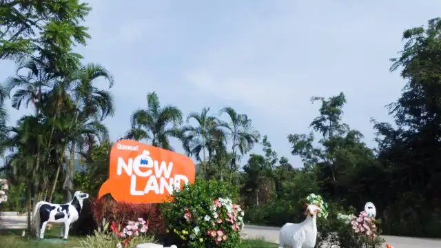New Land Saun Phueng
