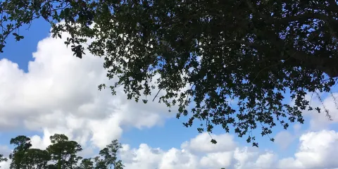 South Florida National Cemetery