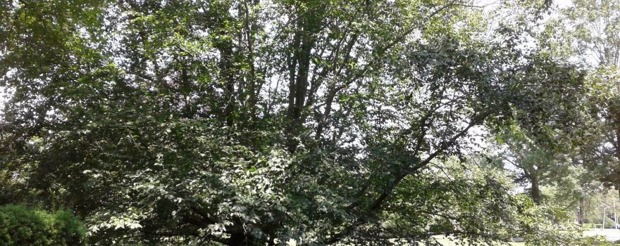 Theodore Roosevelt Sanctuary