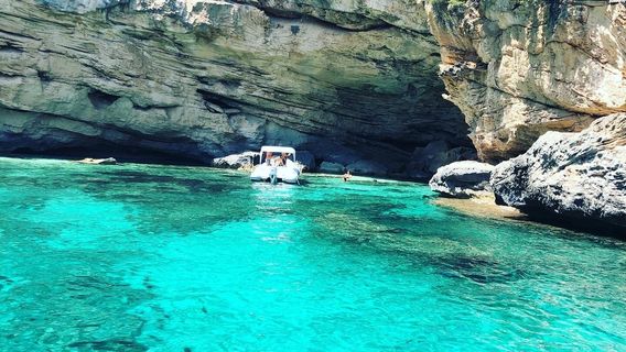 Velamarearbatax Marco Nonnis