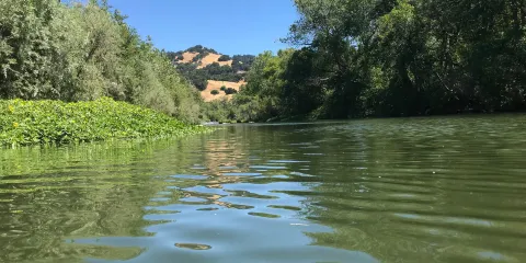 Cloverdale River Park