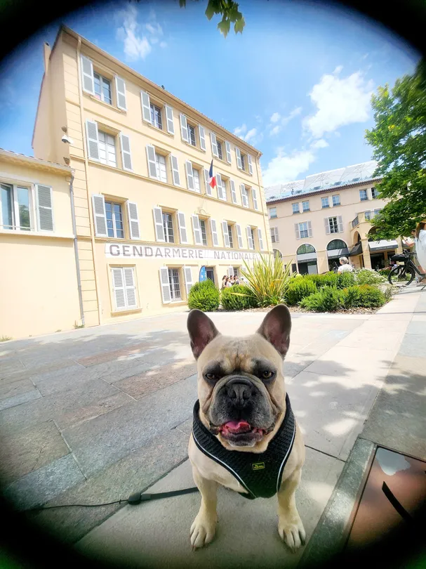 5_Gendarmerie Nationale