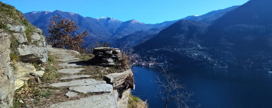 Sentee di Sort