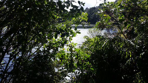 Lake Rotokura