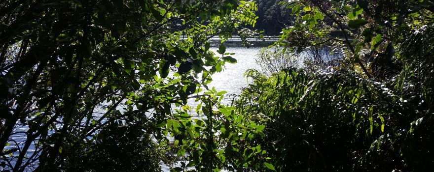 Lake Rotokura