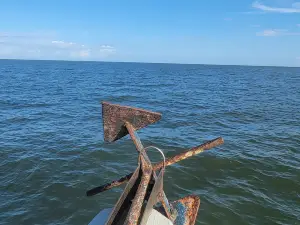 Dauphin Island Marina Inc