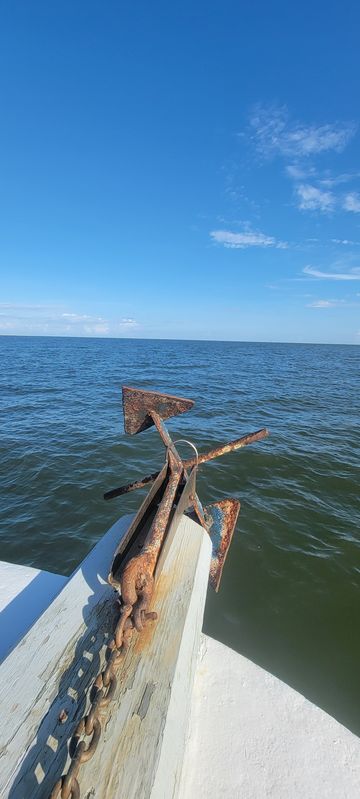 Dauphin Island Marina Inc